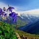 Йога-тур на Алтай: Любовь, Свобода и Осознанность