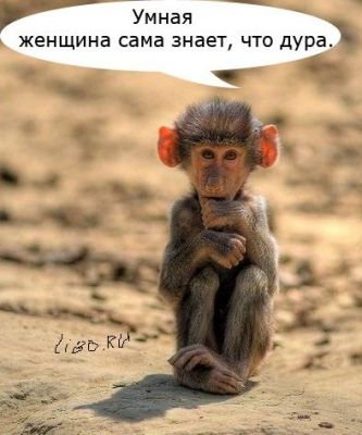 Умная женщина